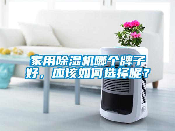 家用除濕機(jī)哪個(gè)牌子好，應(yīng)該如何選擇呢？