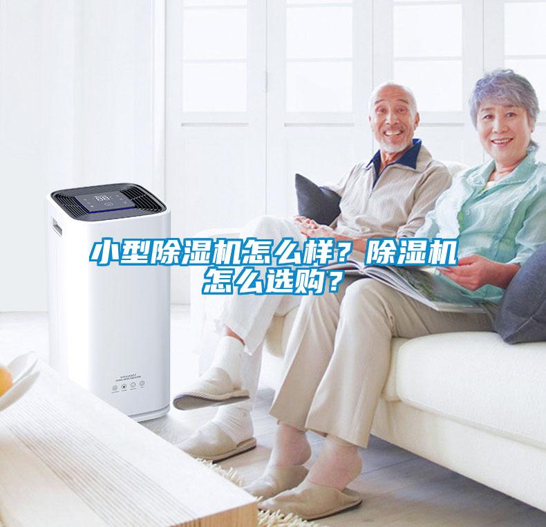 小型除濕機怎么樣？除濕機怎么選購？