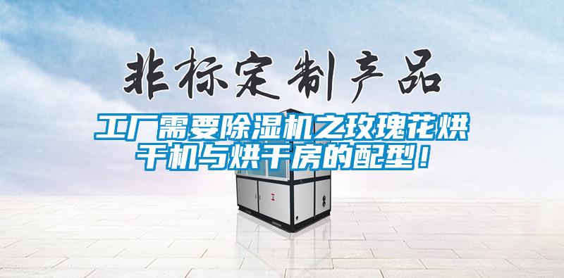 工廠需要除濕機之玫瑰花烘干機與烘干房的配型！