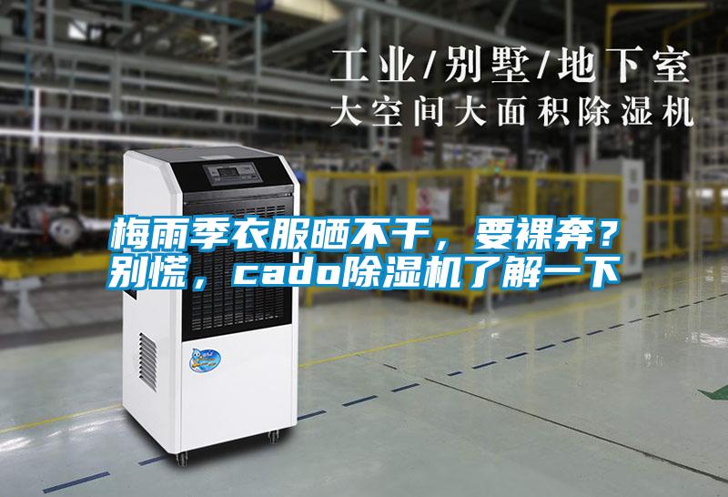 梅雨季衣服曬不干，要裸奔？別慌，cado除濕機了解一下