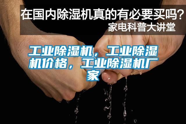 工業(yè)除濕機，工業(yè)除濕機價格，工業(yè)除濕機廠家