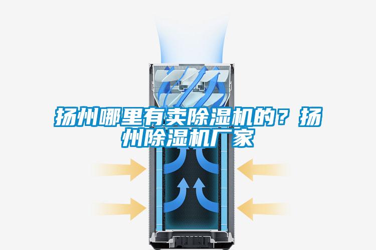 揚州哪里有賣除濕機的？揚州除濕機廠家