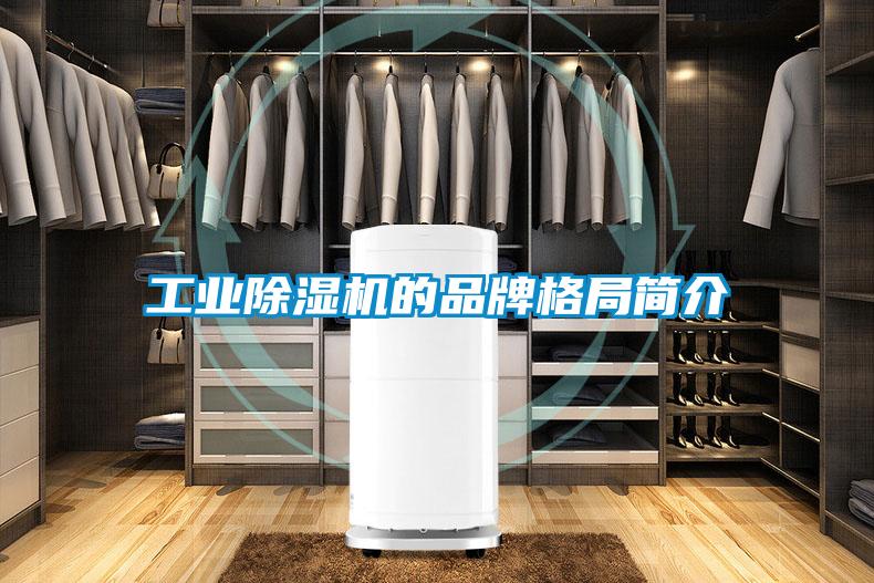 工業(yè)除濕機(jī)的品牌格局簡介