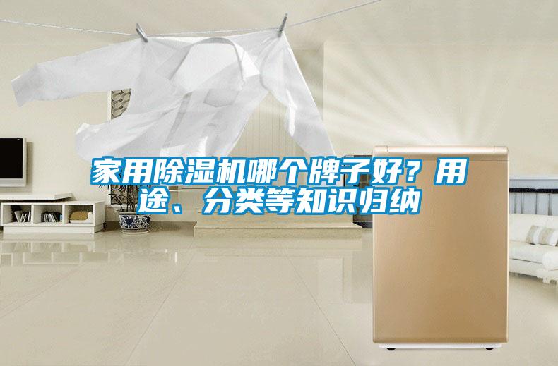 家用除濕機(jī)哪個(gè)牌子好？用途、分類等知識(shí)歸納