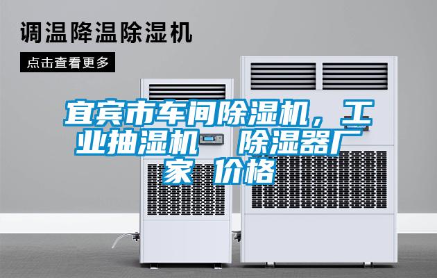 宜賓市車間除濕機，工業(yè)抽濕機  除濕器廠家 價格