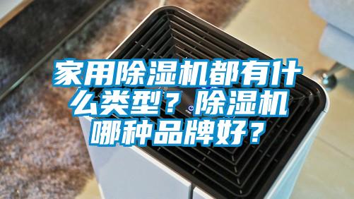 家用除濕機(jī)都有什么類型？除濕機(jī)哪種品牌好？