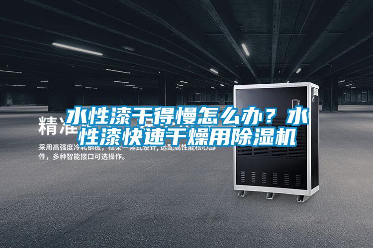 水性漆干得慢怎么辦？水性漆快速干燥用除濕機(jī)