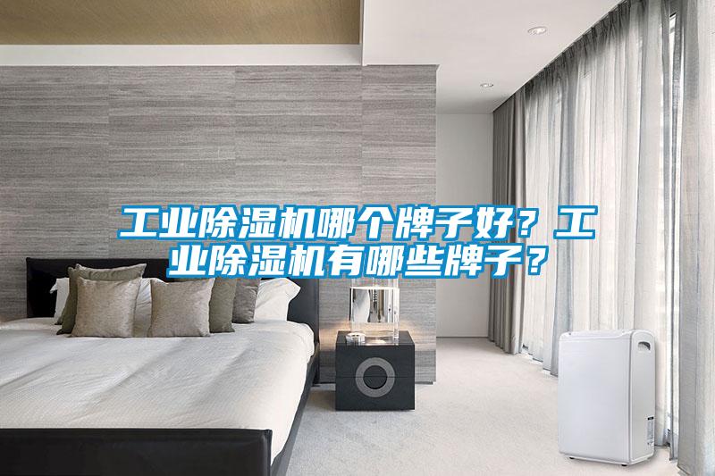 工業(yè)除濕機(jī)哪個牌子好？工業(yè)除濕機(jī)有哪些牌子？