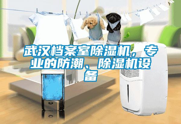 武漢檔案室除濕機(jī)，專業(yè)的防潮、除濕機(jī)設(shè)備