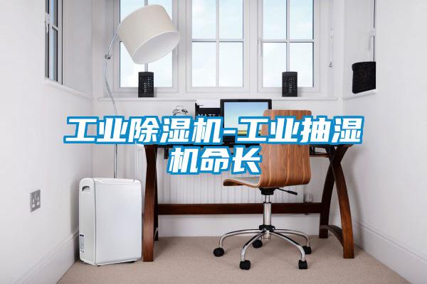 工業(yè)除濕機(jī)-工業(yè)抽濕機(jī)命長