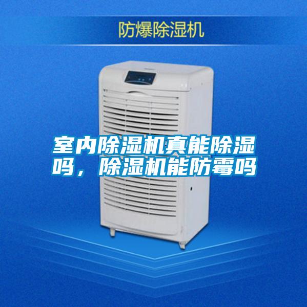 室內(nèi)除濕機真能除濕嗎，除濕機能防霉嗎