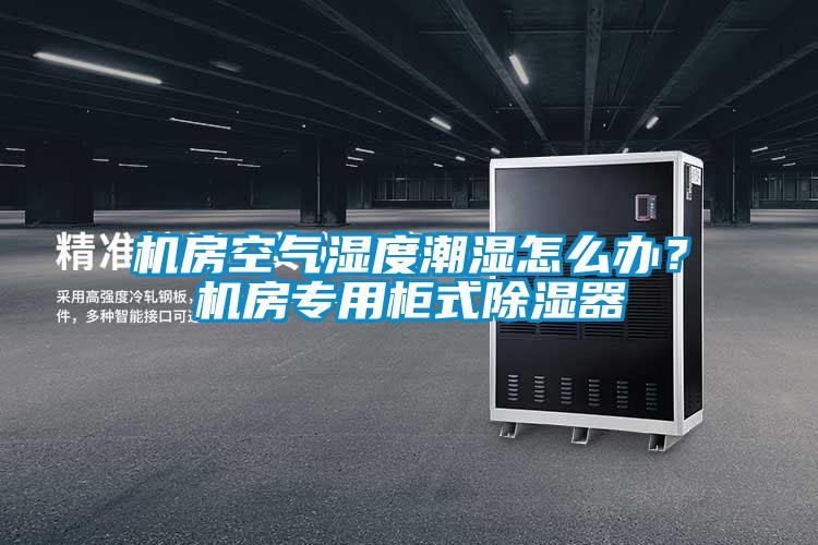 機(jī)房空氣濕度潮濕怎么辦？機(jī)房專用柜式除濕器