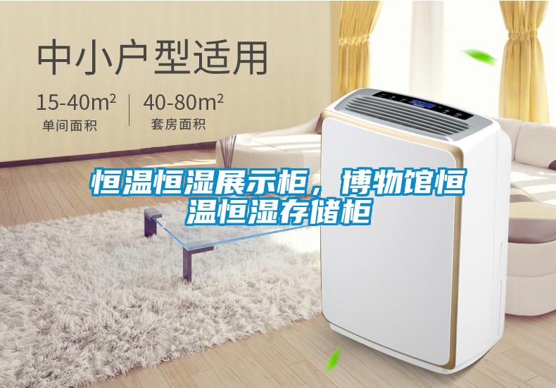 恒溫恒濕展示柜，博物館恒溫恒濕存儲柜