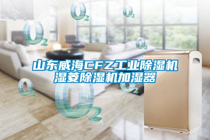 山東威海CFZ工業(yè)除濕機濕菱除濕機加濕器