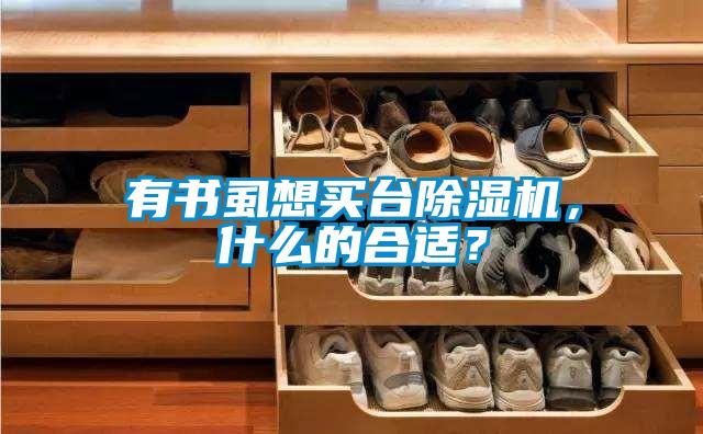 有書(shū)虱想買(mǎi)臺(tái)除濕機(jī)，什么的合適？
