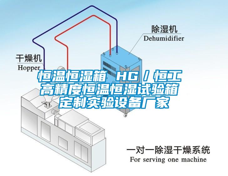 恒溫恒濕箱 HG／恒工 高精度恒溫恒濕試驗箱 定制實驗設(shè)備廠家