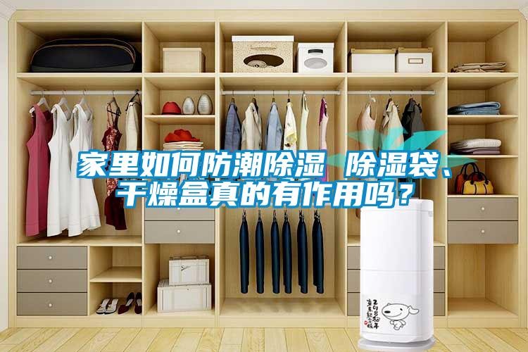家里如何防潮除濕 除濕袋、干燥盒真的有作用嗎？