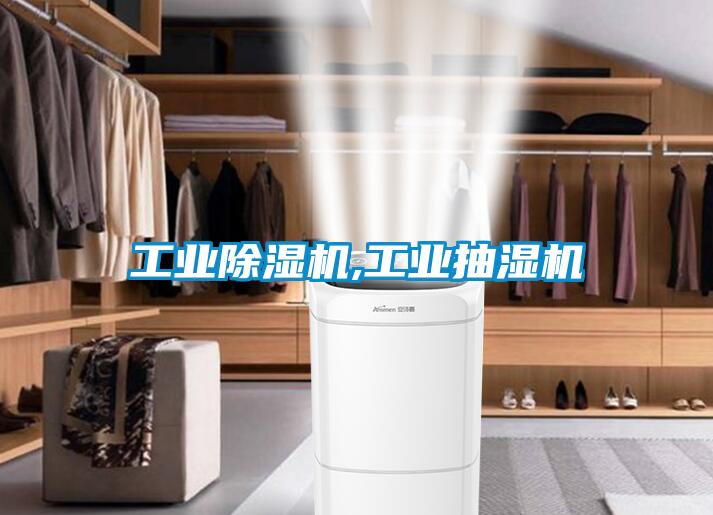 工業(yè)除濕機,工業(yè)抽濕機