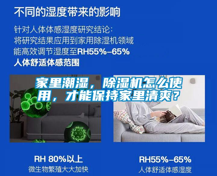 家里潮濕，除濕機怎么使用，才能保持家里清爽？