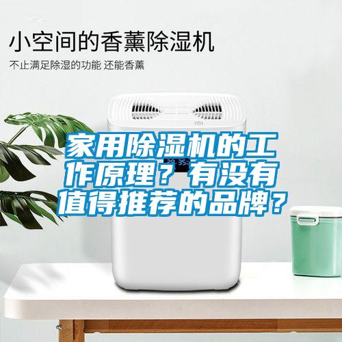 家用除濕機(jī)的工作原理？有沒有值得推薦的品牌？