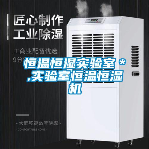 恒溫恒濕實驗室＊,實驗室恒溫恒濕機(jī)