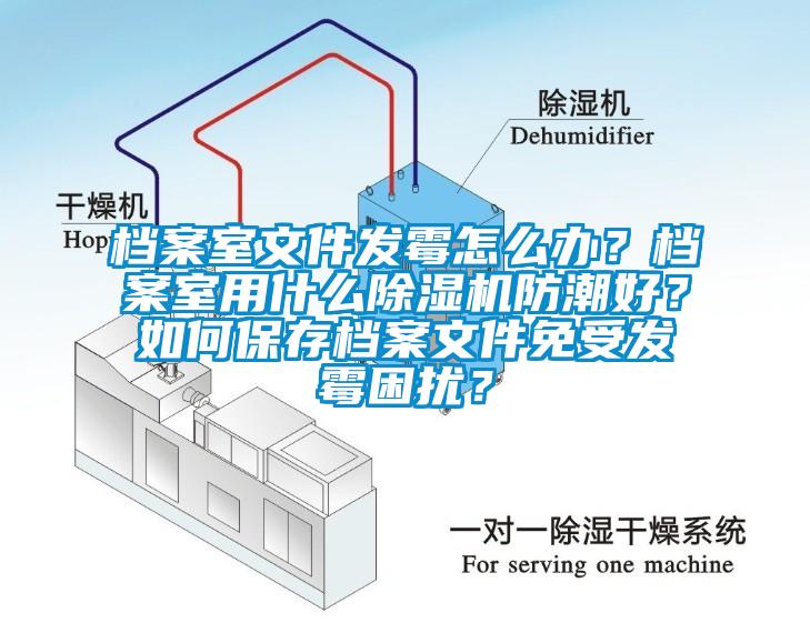 檔案室文件發(fā)霉怎么辦？檔案室用什么除濕機(jī)防潮好？如何保存檔案文件免受發(fā)霉困擾？