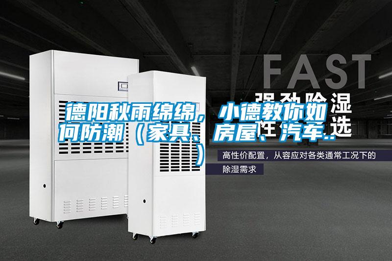 德陽秋雨綿綿，小德教你如何防潮（家具、房屋、汽車..）