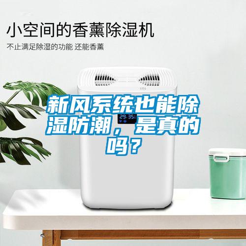 新風(fēng)系統(tǒng)也能除濕防潮，是真的嗎？