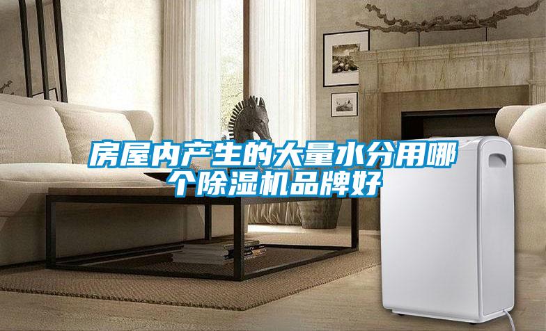 房屋內產(chǎn)生的大量水分用哪個除濕機品牌好