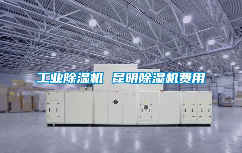 工業(yè)除濕機 昆明除濕機費用