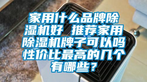 家用什么品牌除濕機好 推薦家用除濕機牌子可以嗎性價比最高的幾個有哪些？