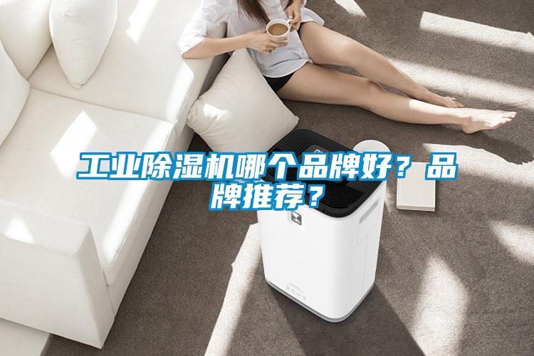 工業(yè)除濕機(jī)哪個(gè)品牌好？品牌推薦？