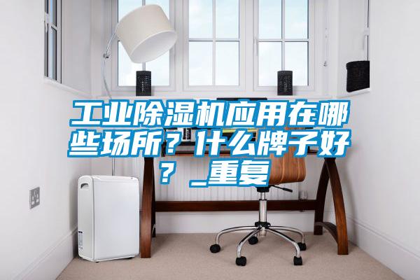 工業(yè)除濕機(jī)應(yīng)用在哪些場(chǎng)所？什么牌子好？_重復(fù)