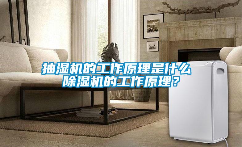 抽濕機(jī)的工作原理是什么 除濕機(jī)的工作原理？