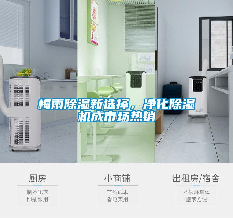 梅雨除濕新選擇，凈化除濕機(jī)成市場熱銷