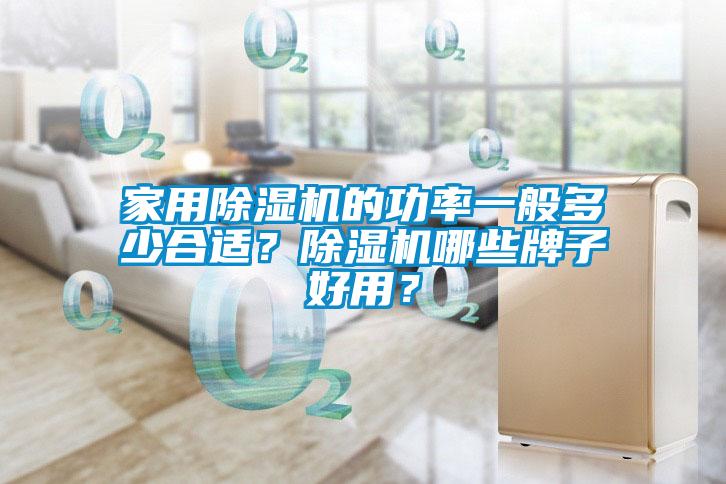 家用除濕機的功率一般多少合適？除濕機哪些牌子好用？