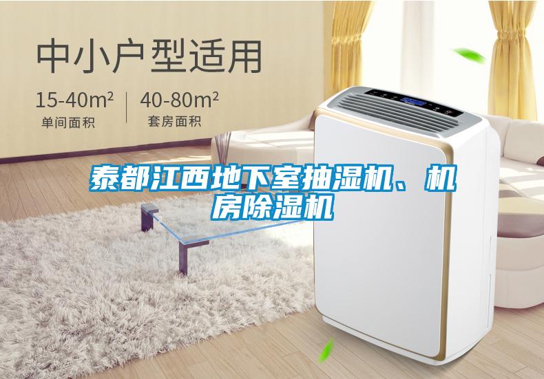 泰都江西地下室抽濕機、機房除濕機