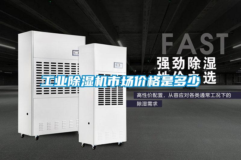 工業(yè)除濕機(jī)市場價(jià)格是多少