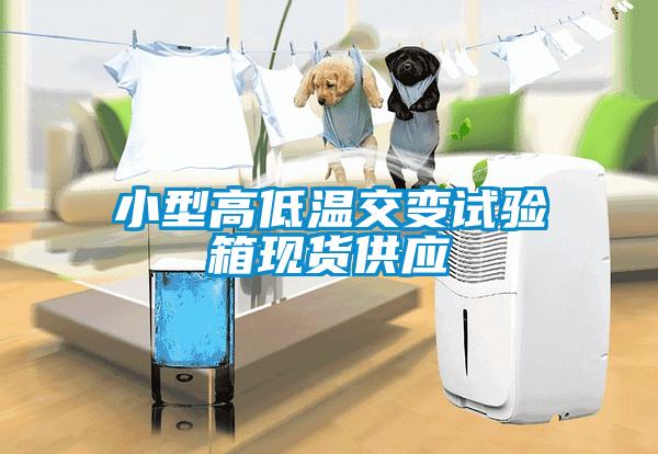 小型高低溫交變試驗(yàn)箱現(xiàn)貨供應(yīng)