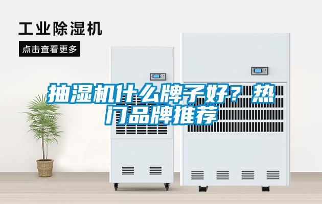 抽濕機(jī)什么牌子好？熱門品牌推薦