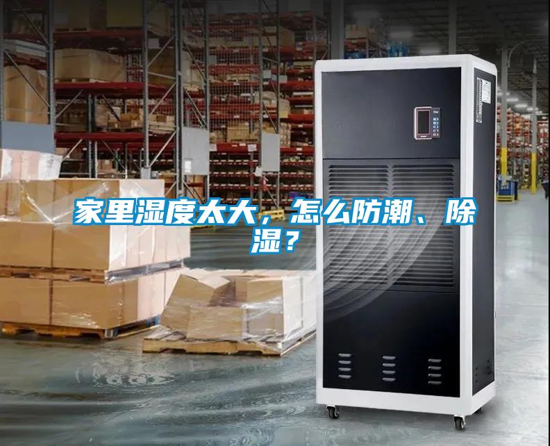 家里濕度太大，怎么防潮、除濕？