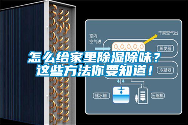 怎么給家里除濕除味？這些方法你要知道！