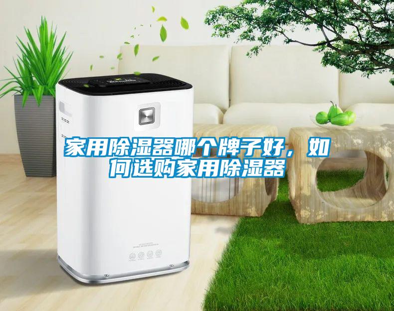 家用除濕器哪個牌子好，如何選購家用除濕器