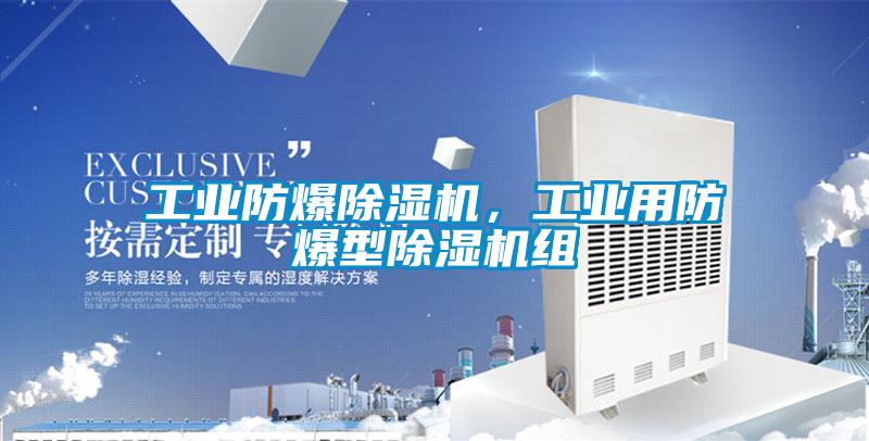 工業(yè)防爆除濕機(jī)，工業(yè)用防爆型除濕機(jī)組