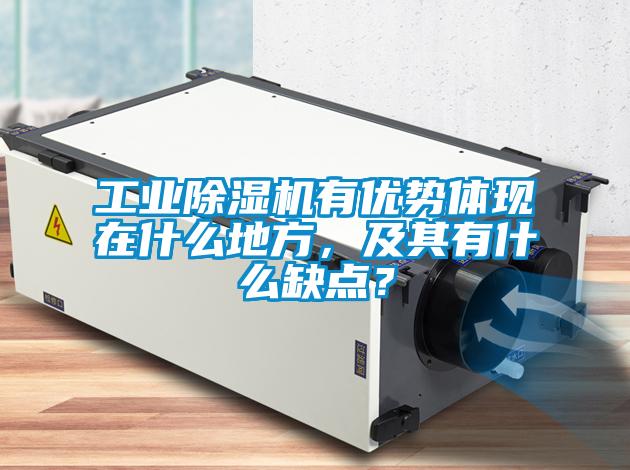 工業(yè)除濕機(jī)有優(yōu)勢(shì)體現(xiàn)在什么地方，及其有什么缺點(diǎn)？