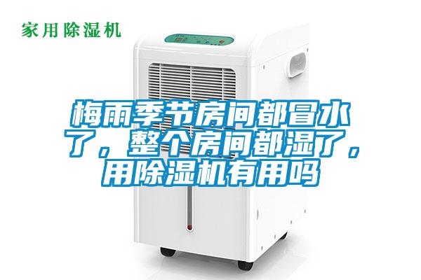 梅雨季節(jié)房間都冒水了，整個房間都濕了，用除濕機有用嗎