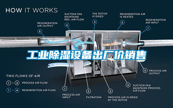 工業(yè)除濕設備出廠價銷售