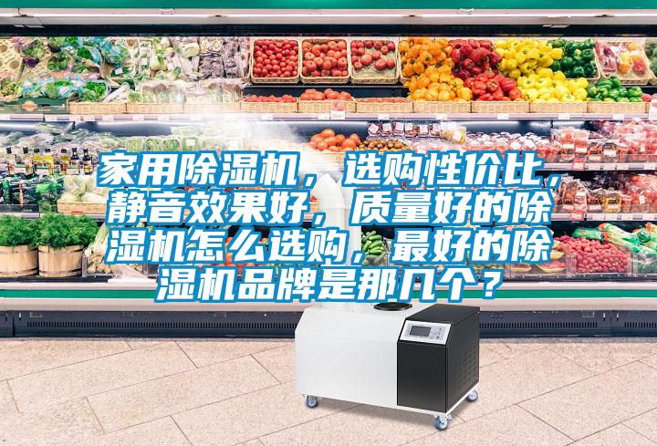 家用除濕機(jī)，選購(gòu)性價(jià)比，靜音效果好，質(zhì)量好的除濕機(jī)怎么選購(gòu)，最好的除濕機(jī)品牌是那幾個(gè)？