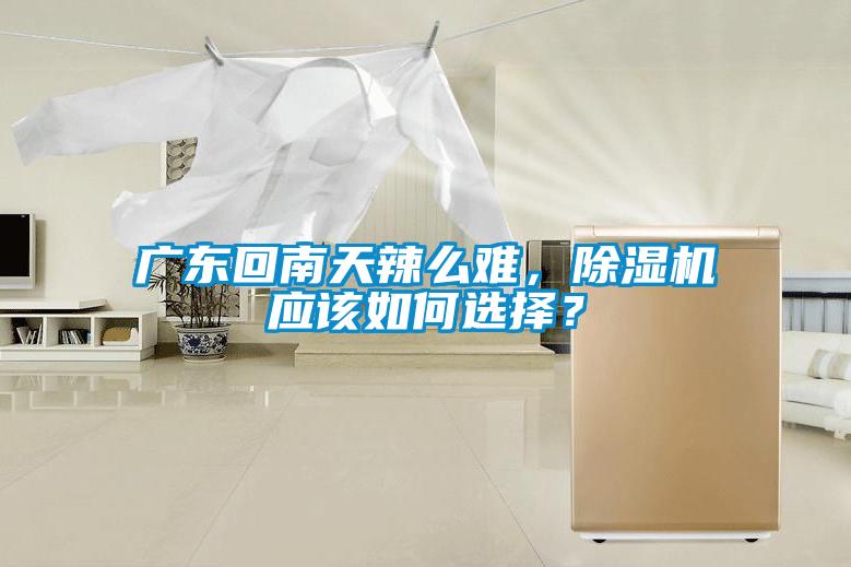 廣東回南天辣么難，除濕機應(yīng)該如何選擇？