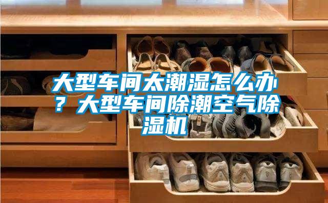 大型車間太潮濕怎么辦？大型車間除潮空氣除濕機